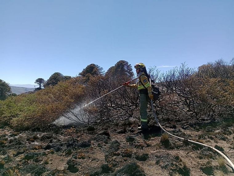 El Parque Nacional Lanin redobló el monitoreo y control para desactivar fogones y evitar incendios Foto: Instagram @pnlanin
