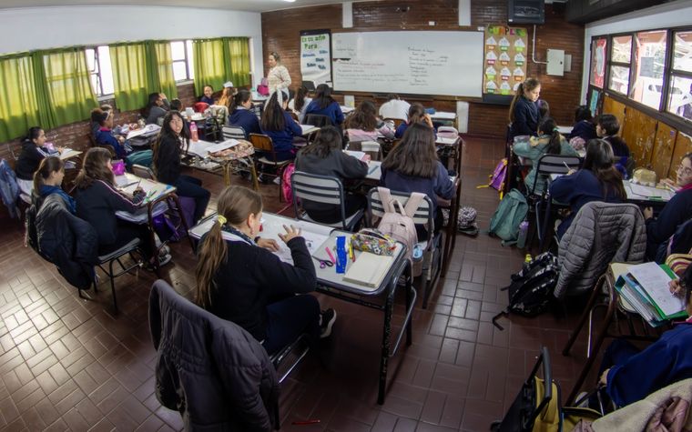 El 50% de los docentes, más de 28 mil, ya se encuentra enrolado El 50% de los docentes, más de 28 mil, ya se encuentra enrolado