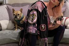 Foto: https://depor.com/off-side/lady-gaga-padre-de-cantante-pidio-ayuda-para-atrapar-a-los-secuestradores-de-sus-perros-bulldogs-usa-eeuu-estados-unidos-nndc-noticia/