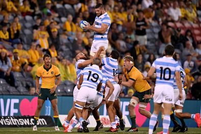 MDZol | Los Pumas en un cruce con Australia.
