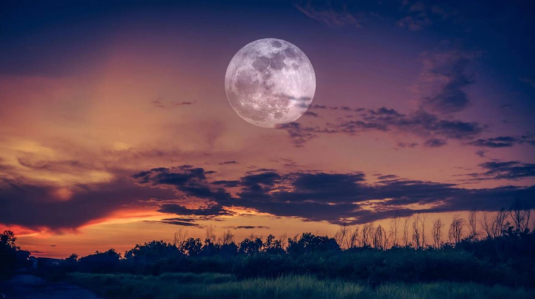 Conoce el significado de la Luna de lobo Foto: Pixabay