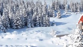 La caminata con raquetas de nieve es uno de los principales atractivos de las vacaciones de invierno.  