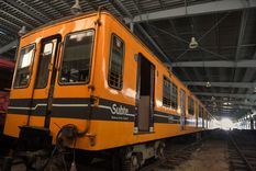 Podrán visitarse hasta el 9 de junio con una cita previa Foto: Télam