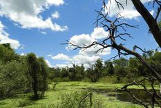 La Reserva Natural está ubicada en el departamento Bermejo, al sudoeste de la provincia de Formosa Foto: Parques Nacionales La Reserva Natural está ubicada en el departamento Bermejo, al sudoeste de la provincia de Formosa Foto: Parques Nacionales