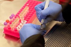 hidroxicloroquina y cloroquina: oms suspende los ensayos de los farmacos para tratar la covid-19