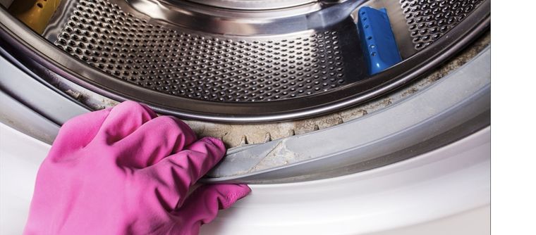 La acumulación de humedad causa el mal olor del tambor del lavarropas Foto: Shutterstock
