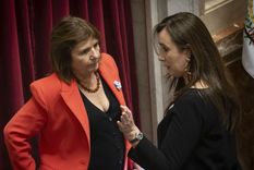 tiembla la sesion por el proyecto de propiedad privada y el congreso se encamina al receso mundialista