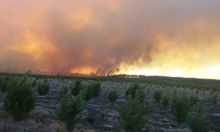 Foto: biobiochile.cl