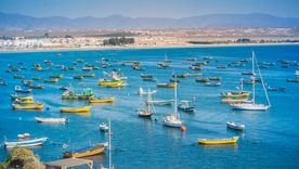 Tongoy es el destino para quienes buscan desconexión en verano. Foto: Shutterstock Tongoy es el destino para quienes buscan desconexión en verano. Foto: Shutterstock