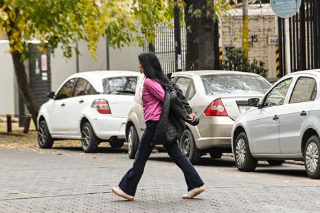 El pronóstico del tiempo anticipa que en Mendoza descenderá la temperatura.
