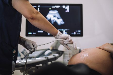 Los científicos del Instituto de Genética de la Universidad Nacional de Colombia descubrieron un caso de superfecundación heteropaternal.