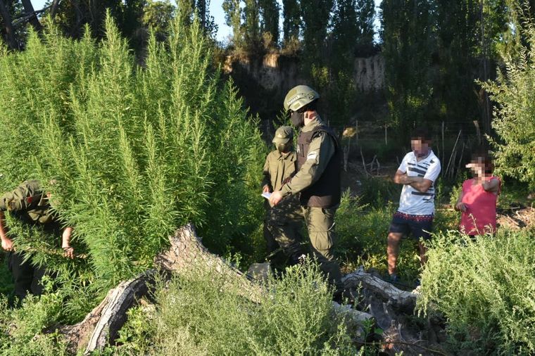 Allanamiento en Tupungato. Foto: Prensa Gendarmería