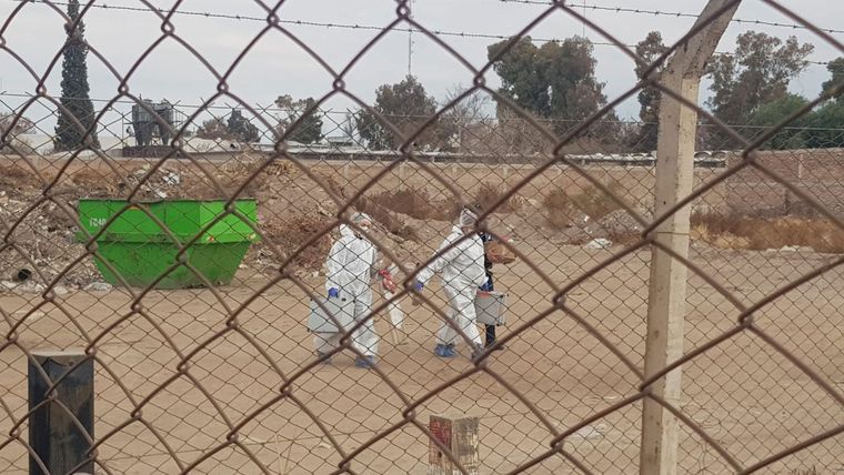 La mujer fue encontrada en un descampado en calle Junín de Las Heras.