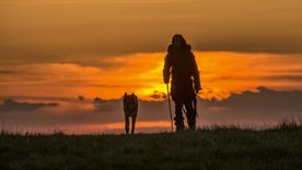 Un final tremendo. Un final tremendo.