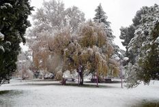 Foto: Gentileza Municipalidad Malargue Foto: Gentileza Municipalidad Malargue