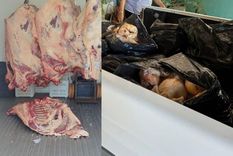 mas de 250 kilos de carne secuestrados en general alvear y guaymallen por fallas sanitarias mas de 250 kilos de carne secuestrados en general alvear y guaymallen por fallas sanitarias