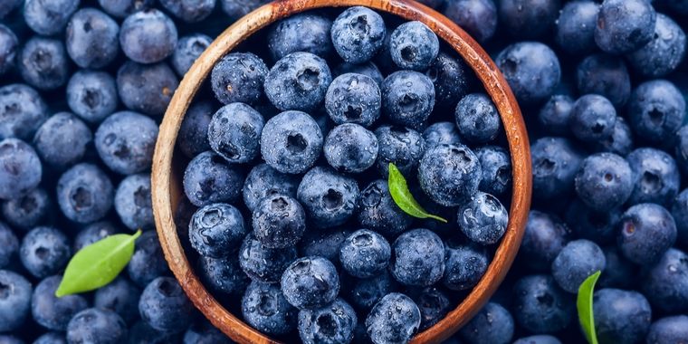 Foto: Ph Shutterstock