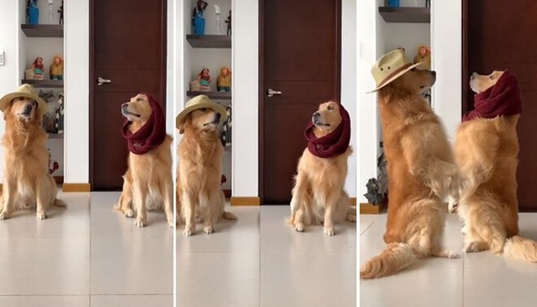 El challenge se hizo viral.