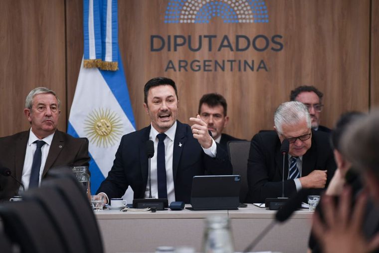 Luis Petri hizo su exposición en la Cámara de Diputados. FOTO: Luis Petri hizo su exposición en la Cámara de Diputados. FOTO: