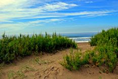 El verano es temporada ideal para disfrutar de su playa extensa. Foto: Facebook Arenas Verdes