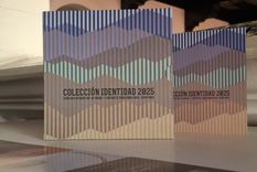 El catálogo interactivo, titulado Contrastes Simultáneos, reúne el talento de 32 artistas y productores mendocinos.&nbsp;