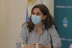 mendoza tendra un plan de testeos masivos de covid-19
