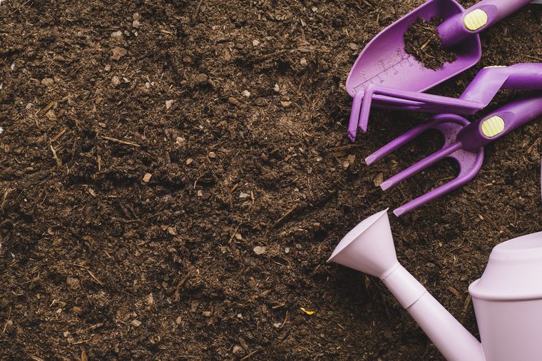 Una técnica para las plantas que no falla. Fuente: Freepik.