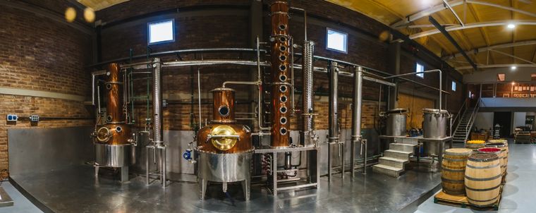 El gin hecho en Mendoza se destacó a nivel mundial, en una competencia con los principales jugadores del mundo. Foto: Foto Hilbing