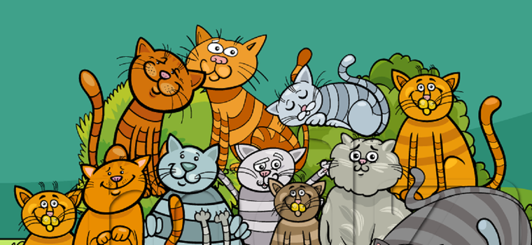 ACERTIJO VISUAL ACERTIJO VISUAL, RETO VISUAL, PERRO Foto: MDZ ONLINE