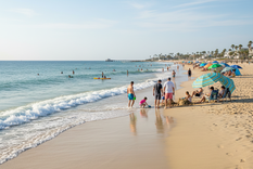 Imagen ilustrativa. Fuente. IA Gemini. Imagen ilustrativa. Fuente. IA Gemini.