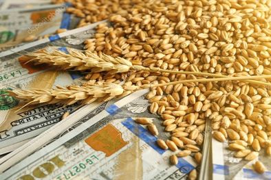 MDZol | Liquidación de divisas del agro, dólares, exportación
