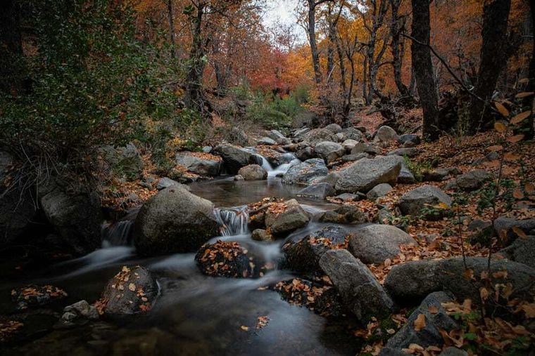 Santuario de la Naturaleza Alto Huemul. Santuario de la Naturaleza Alto Huemul.