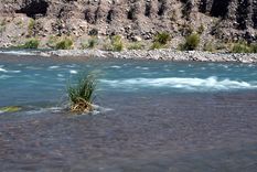 el agua no es un tema ambiental, es una decision de desarrollo