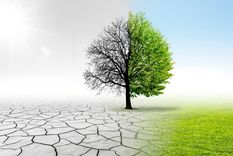 El cambio climático está causando estragos en ciertos cultivos Foto: Shutterstock