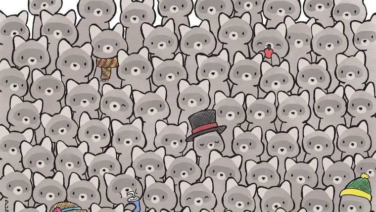 Acertijo visual, reto visual, gato Pinterest