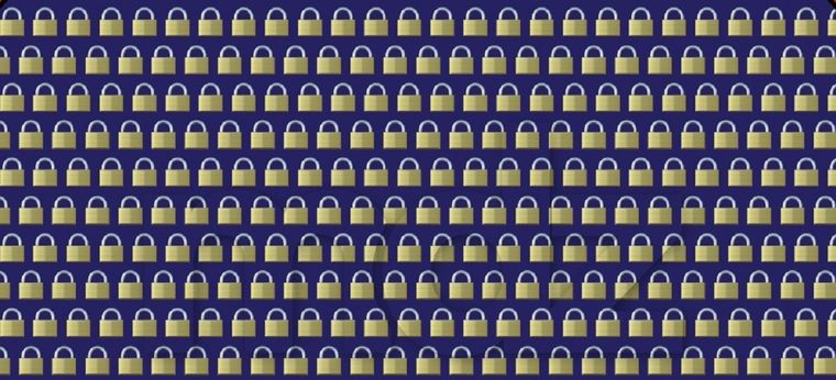 Resolver el acertijo visual es una tarea sumamente difícil de resolver Foto: Archivo MDZ