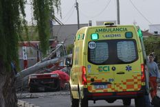 Una mujer murió aplastada por un árbol que cayó sobre su auto en Maipú.
