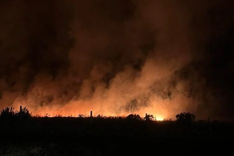 Incendio en Mar del Plata.