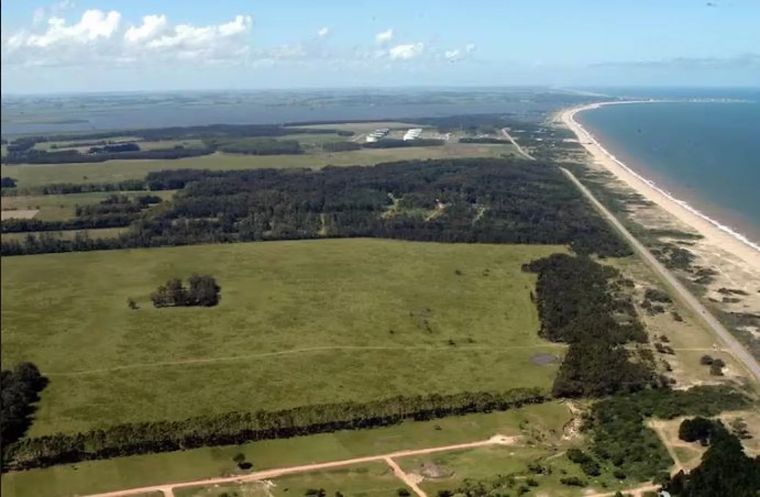 El Entrevero El Entrevero