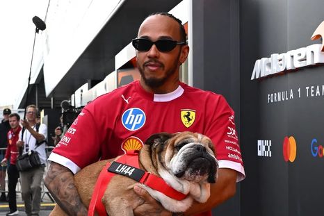 Lewis Hamilton solía llevar a su perro a los Grandes Premios. Foto: NA.