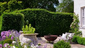 Estas plantas de bajo mantenimiento aportan textura, color y carácter, convirtiendo una necesidad en un buen diseño. Imagen: Future / Alicia Taylor Estas plantas de bajo mantenimiento aportan textura, color y carácter, convirtiendo una necesidad en un buen diseño. Imagen: Future / Alicia Taylor