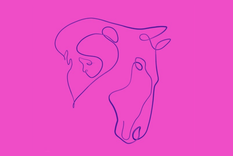 Test de personalidad