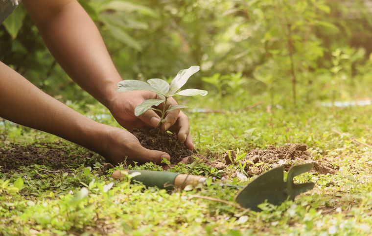 Plantas que no deberías tener en tu jardín si padeces alergia Si crees que puedes ser alérgico tienes que tomar todas las precauciones. Foto: sHUterstock