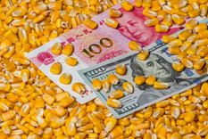 La liquidación de divisas es clave para el balance cambiario del Banco Central, pero este año está muy influido por la sequía. Foto: Shutterstock