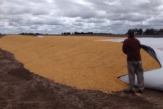 ruralistas creen que ataques a silobolsas son del gobierno