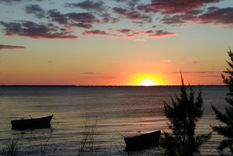 Paisajes y atardeceres.