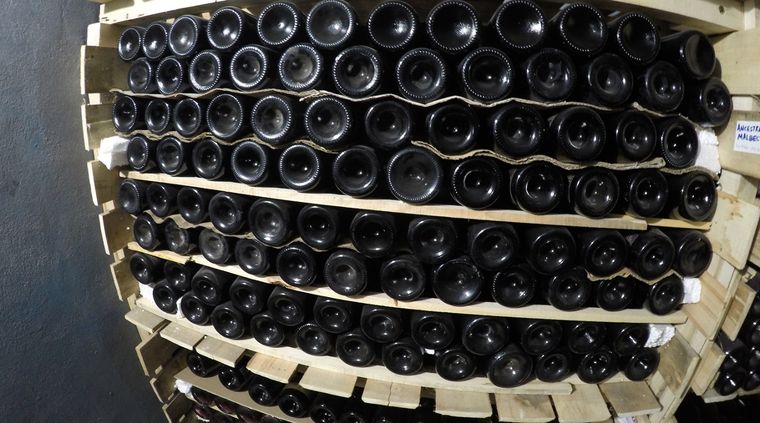 Foto: ALF PONCE MERCADO / MDZ