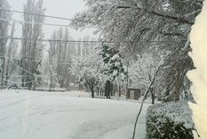 alta montana, con minimas de hasta 8 grados bajo cero