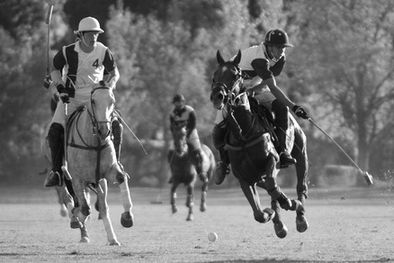 MDZol | Foto: Archivo