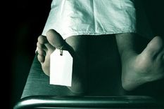 La Universidad París-Descartes fue acusada de dejar los cuerpos y restos humanos a merced de las ratas. Foto: BBC Mundo